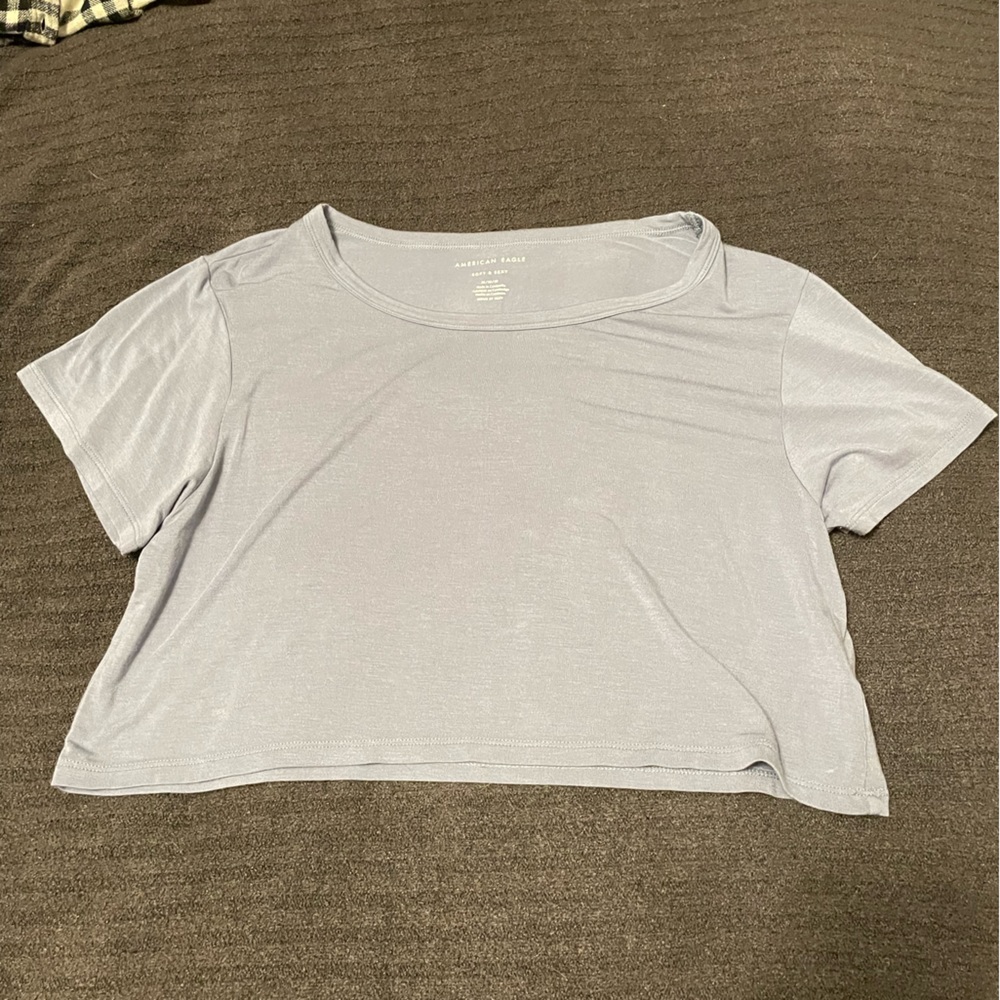 American Eagle Crop Top